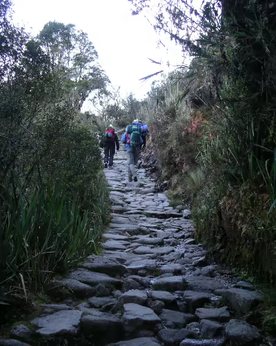 Group arriving at Machu Picchu via Inca Trail